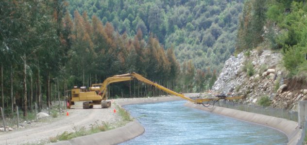 Drenes Californianos